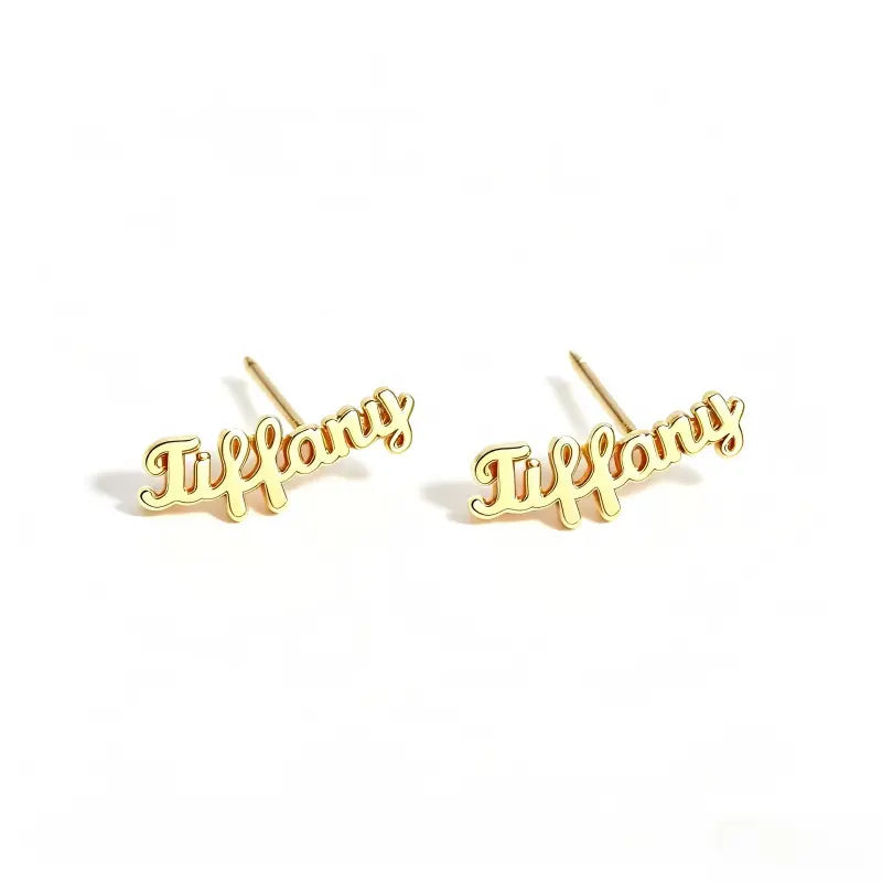 Custom Name Earrings Stainless Steel Personalized Name Stud Earrings